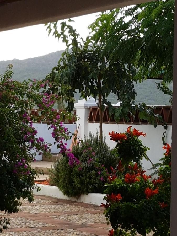 Finca La Rinconada Calamonte Ngoại thất bức ảnh