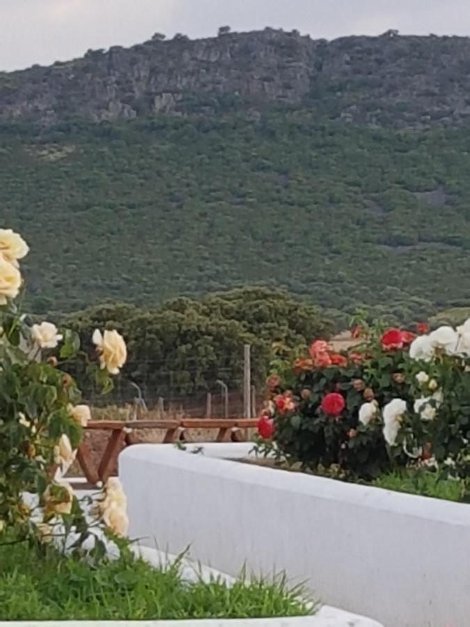 Finca La Rinconada Calamonte Ngoại thất bức ảnh