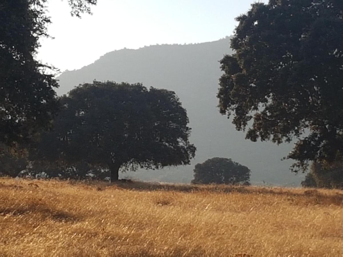Finca La Rinconada Calamonte Ngoại thất bức ảnh